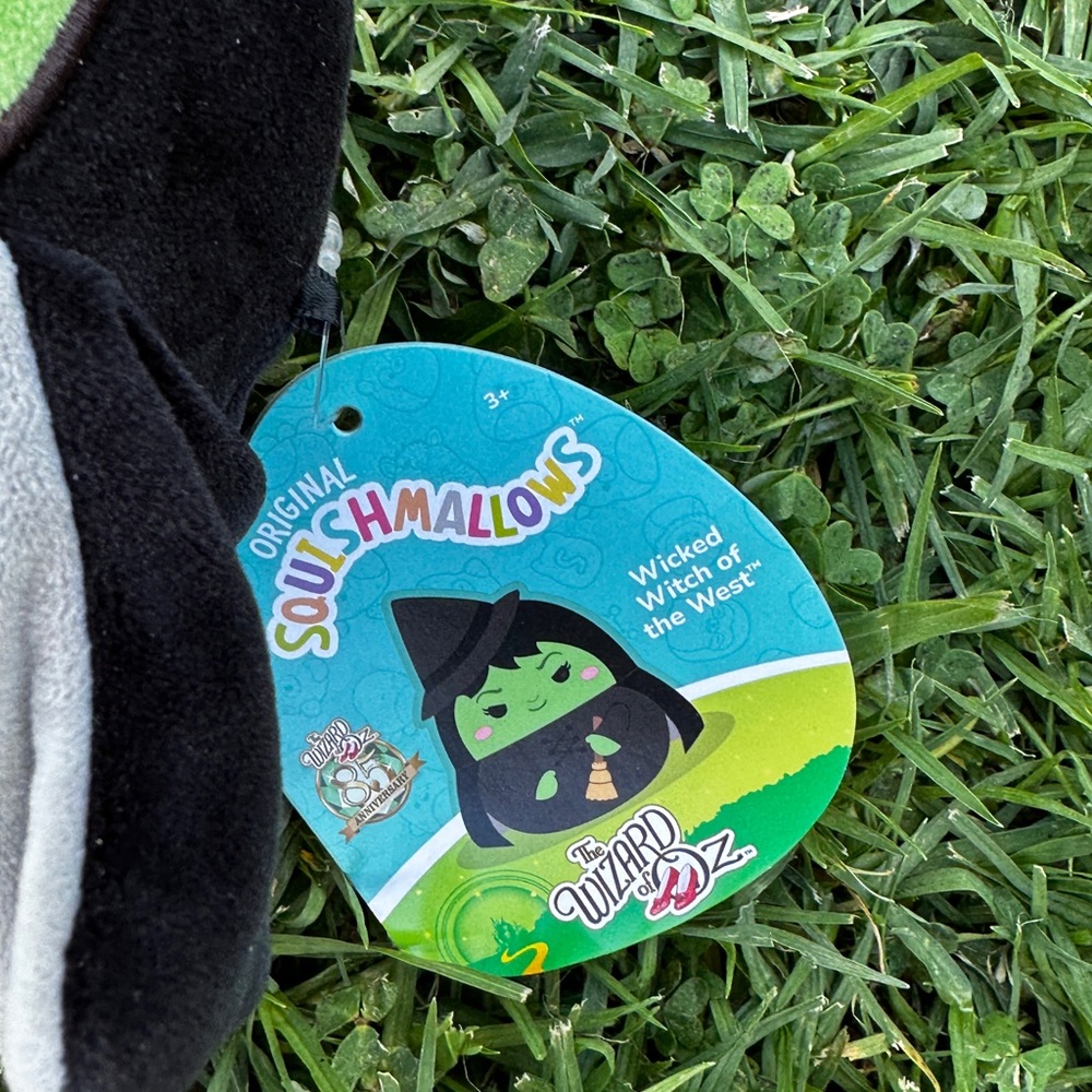 Wicked Witch Squishmallows - Picture 3 of 4